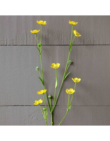 Prairie Flower Yellow