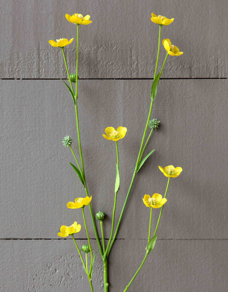 Prairie Flower Yellow