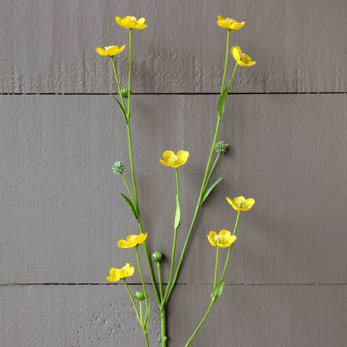 Prairie Flower Yellow