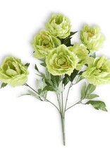 20" Green Peony Bush