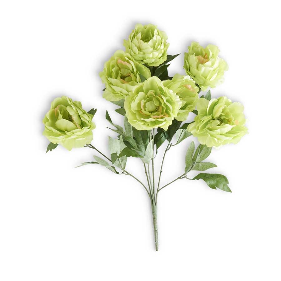 20" Green Peony Bush