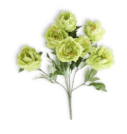 20" Green Peony Bush