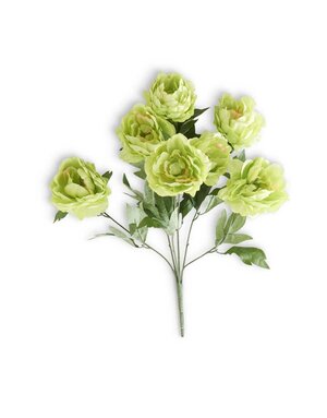 20" Green Peony Bush