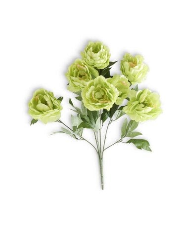 20" Green Peony Bush