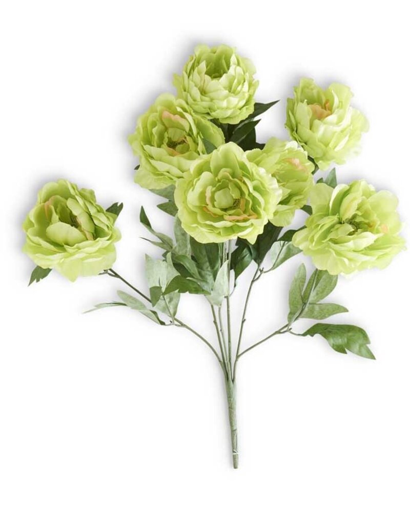 20" Green Peony Bush