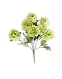 20" Green Peony Bush