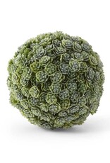 5" Succulent Ball