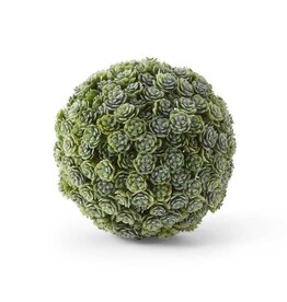 5" Succulent Ball