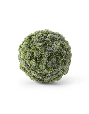 5" Succulent Ball