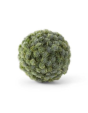 5" Succulent Ball