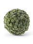 5" Succulent Ball