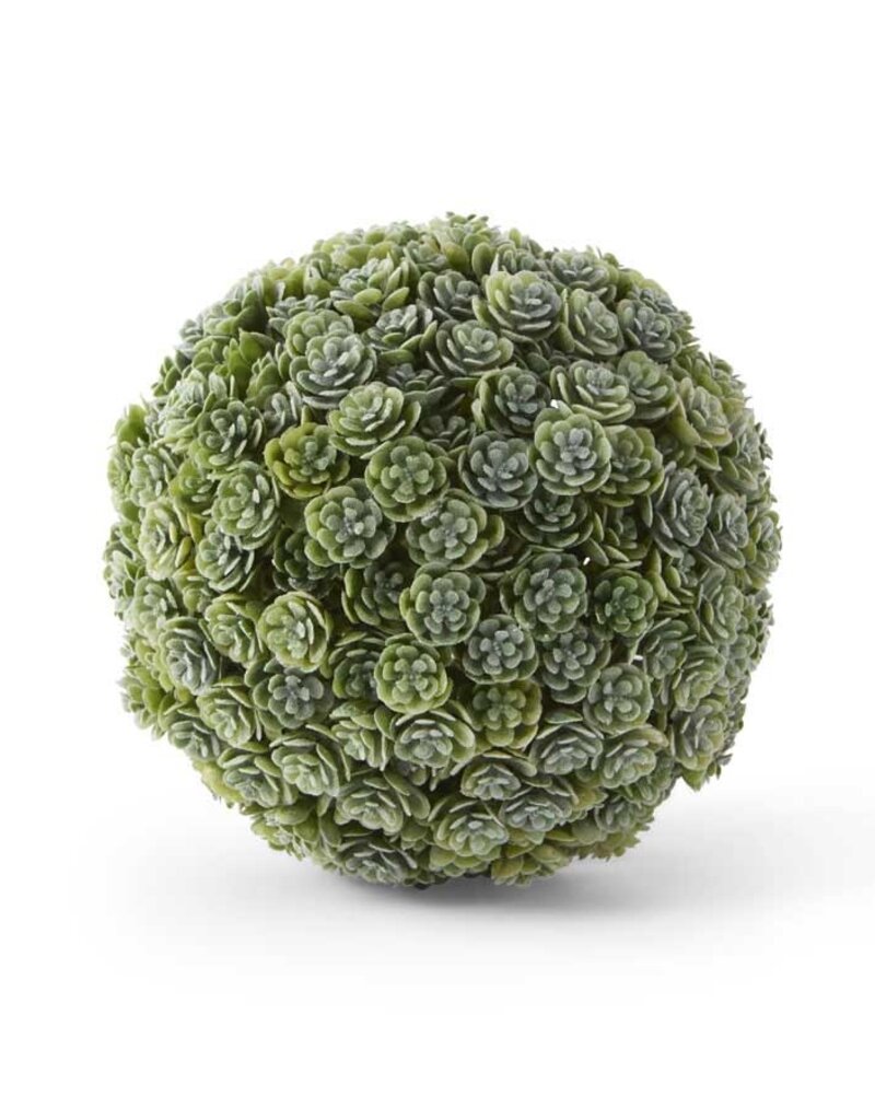 5" Succulent Ball