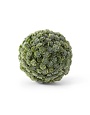 5" Succulent Ball