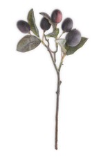 16" Plum Stem