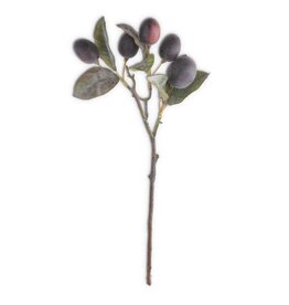 16" Plum Stem