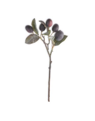 16" Plum Stem