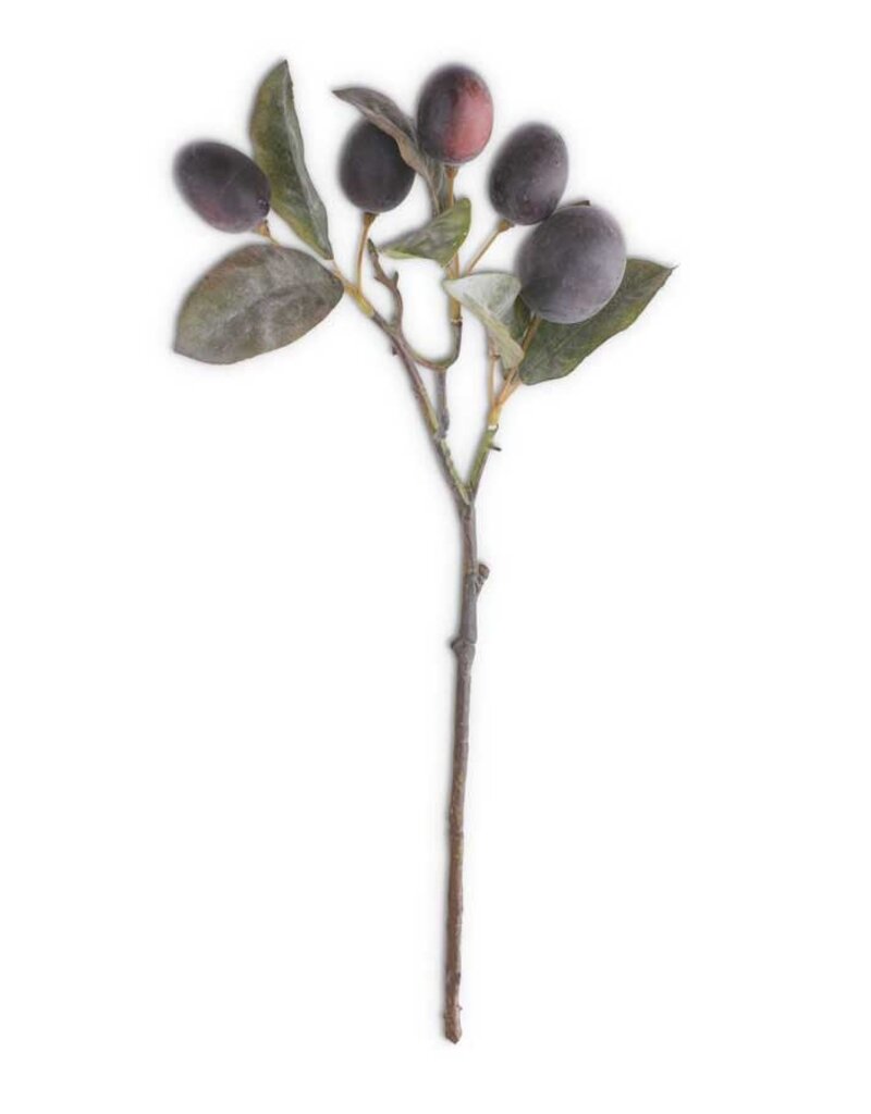 16" Plum Stem
