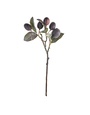 16" Plum Stem