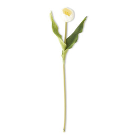 19.5 Inch White Tulip