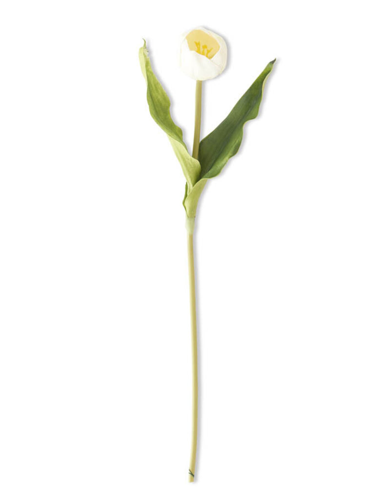 19.5 Inch White Tulip