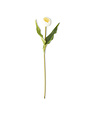 19.5 Inch White Tulip