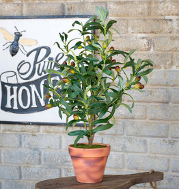 Handcrafted Potted Olive Topiary