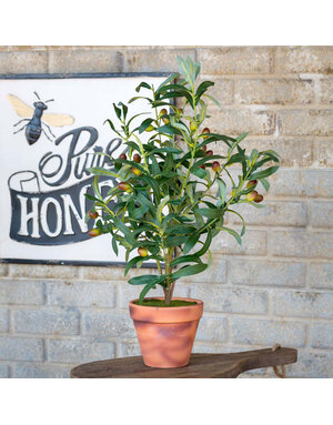 Handcrafted Potted Olive Topiary