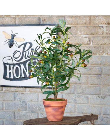 Handcrafted Potted Olive Topiary