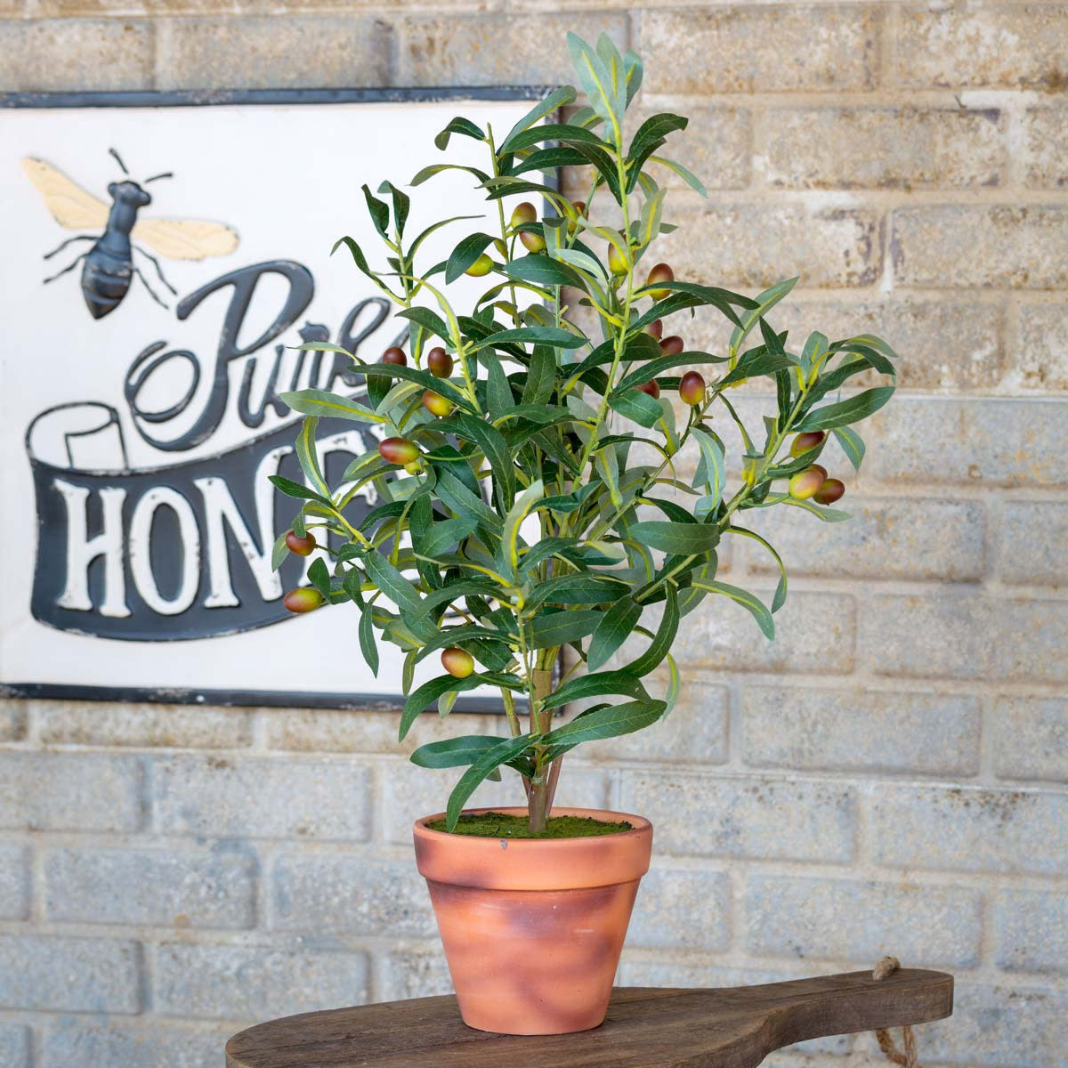 Handcrafted Potted Olive Topiary