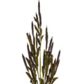 Purple Botanic Mini Cattail Stem