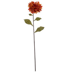 Orange Dahlia Stem