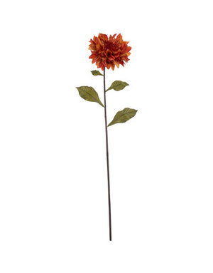 Orange Dahlia Stem