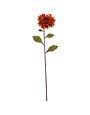 Orange Dahlia Stem
