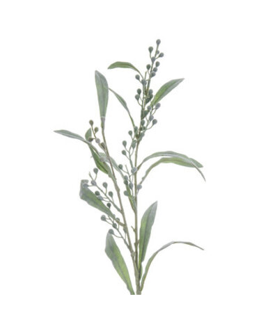 Green Mimosa Spray