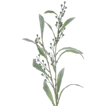 Green Mimosa Spray