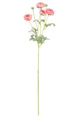 Misty Pink Ranunculus Spray