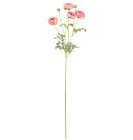 Misty Pink Ranunculus Spray