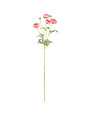 Misty Pink Ranunculus Spray