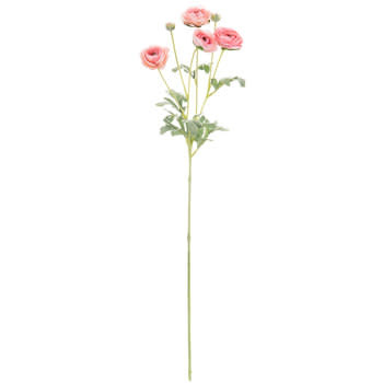 Misty Pink Ranunculus Spray