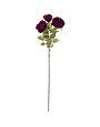Plum Diana Tea Rose Stem