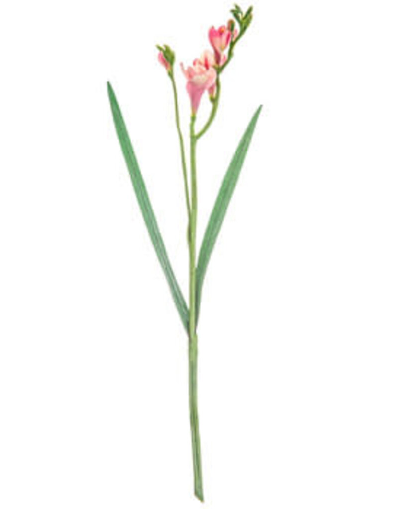 Sweet Pink Freesia Spray