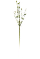 Cream Green Fields Mini Bud Spray