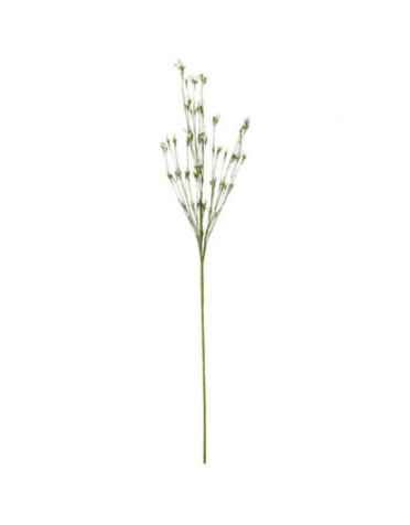 Cream Green Fields Mini Bud Spray