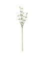 Cream Green Fields Mini Bud Spray