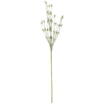 Cream Green Fields Mini Bud Spray