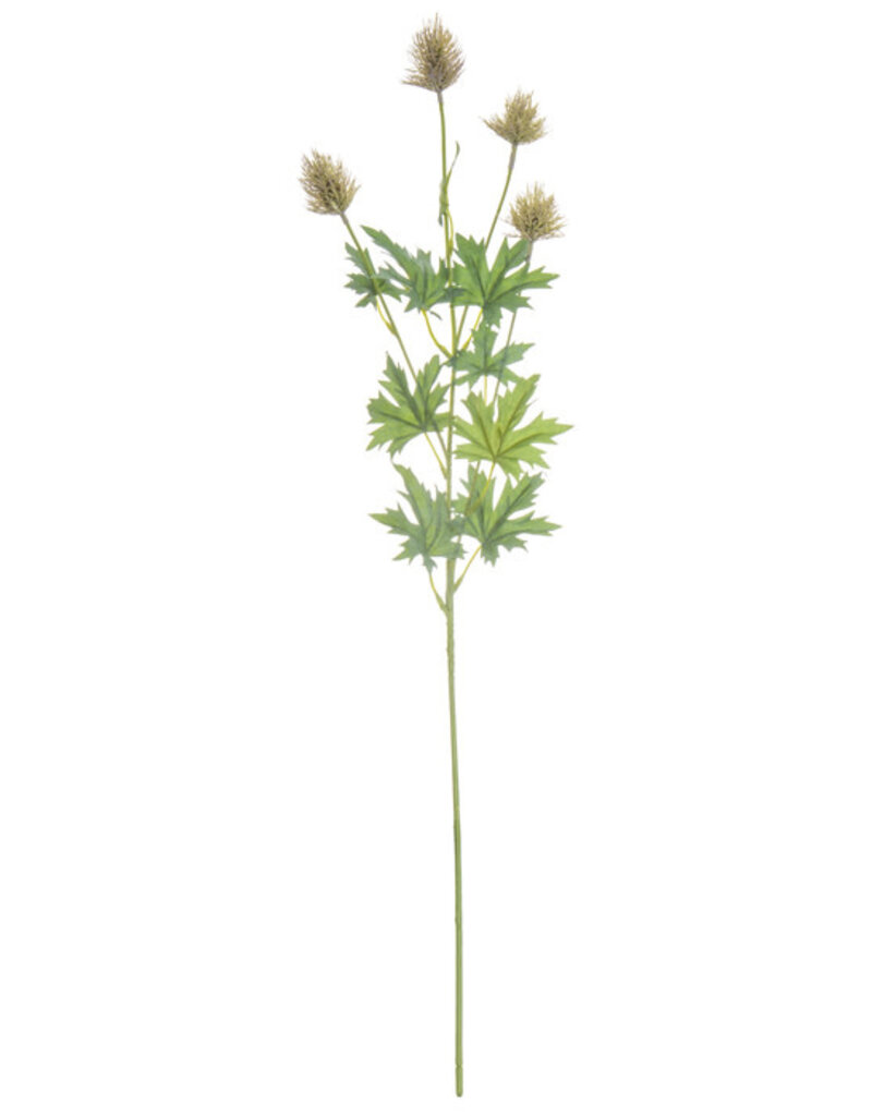 Taupe Thistle Stem
