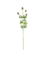 Taupe Thistle Stem