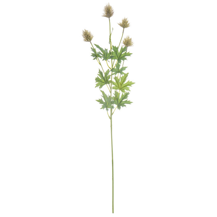 Taupe Thistle Stem