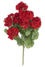 24" Red Geranium Bush