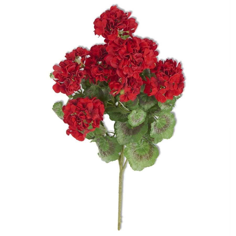 24" Red Geranium Bush